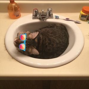 Meet your Posher, I suck at games